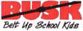Belt Up for School Kids have endorsed the Irisbus Schoolbus