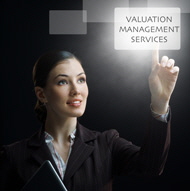 Valuation Management Services